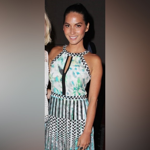 Parker Multicolored ‘Selita’ Cocktail Dress - Picture 11 of 11